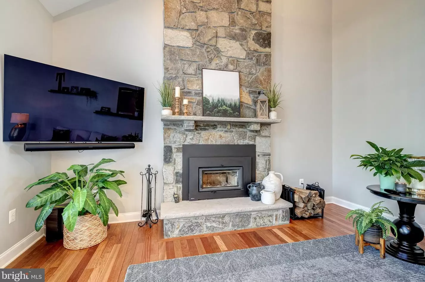 24156 Spring Meadow Cir, Stone Ridge VA  20105-3476 exterior