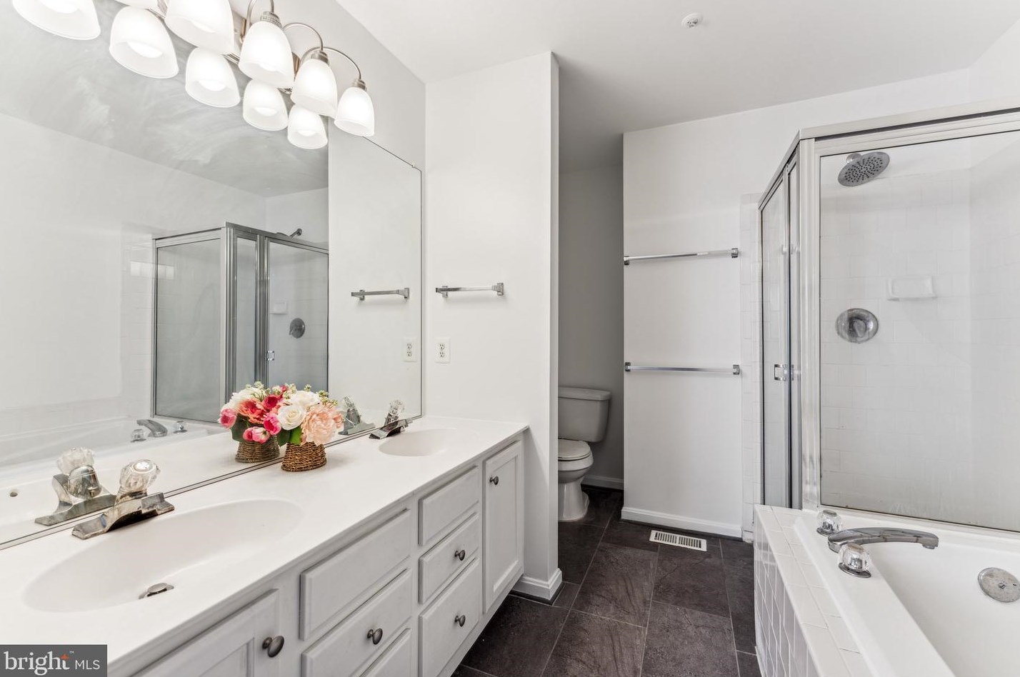 45484 Whistling Ter, Dulles VA  20166-6825 exterior