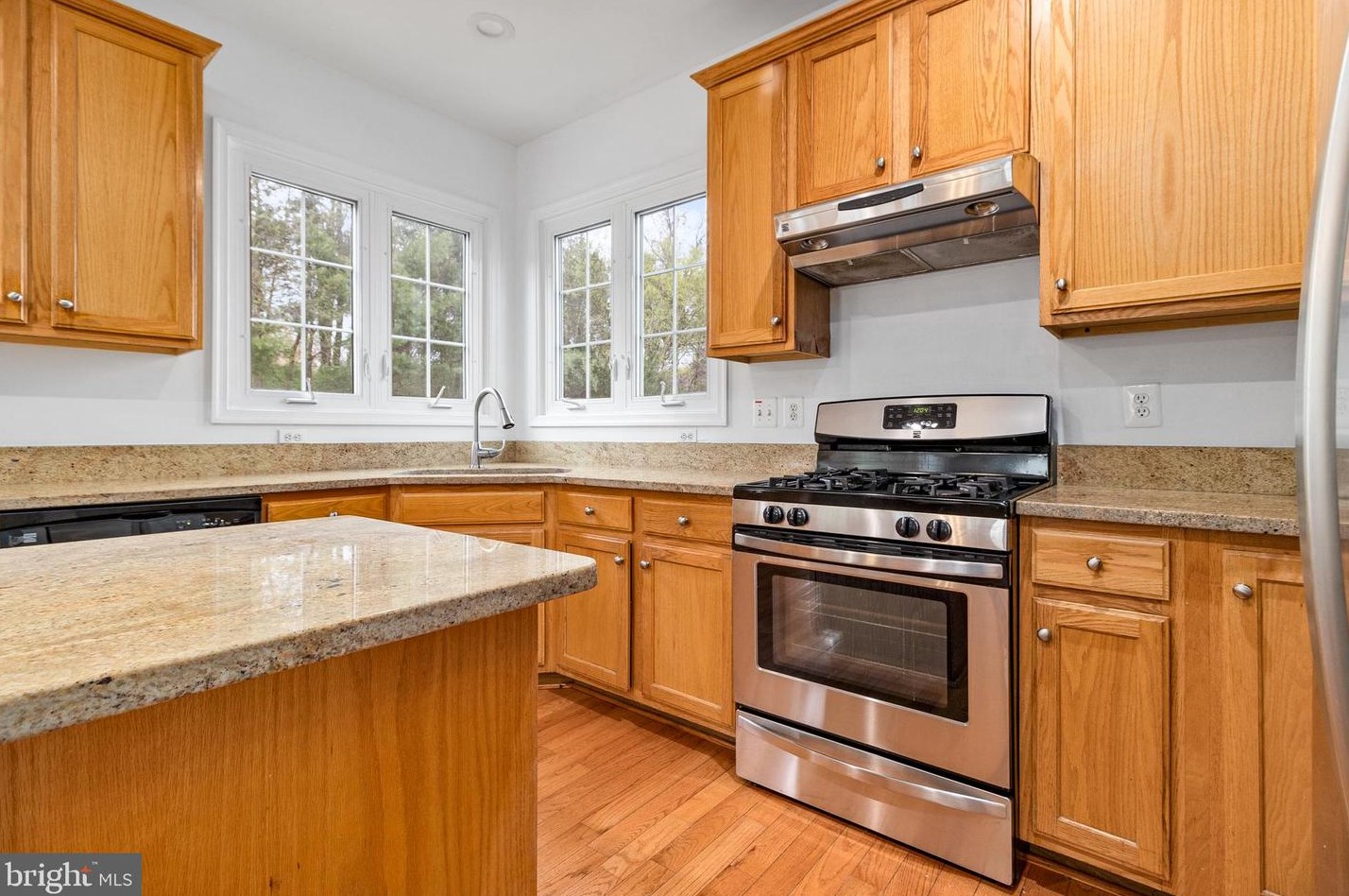 20616 Sutherlin Pl, Dulles VA  20165-8500 exterior