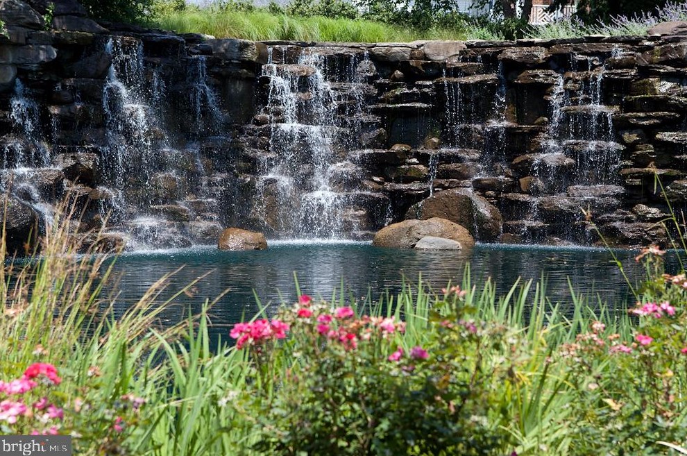 19115 Dalton Points Pl, Leesburg VA 20176-3836 exterior