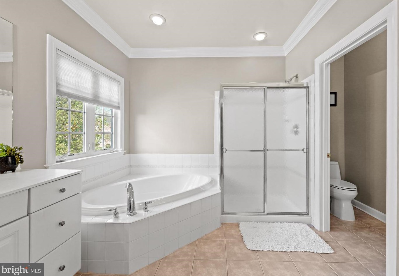 19115 Dalton Points Pl, Leesburg VA 20176-3836 exterior