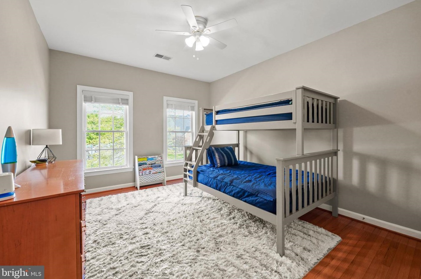 19115 Dalton Points Pl, Leesburg VA 20176-3836 exterior