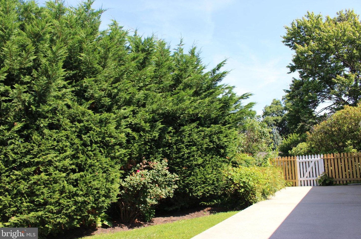125 Cypress Rd, Dulles VA  20164-4004 exterior