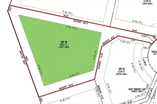 306 Stallion Barn Pl, Middleburg, VA 20117 - Photo 3