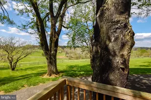 20209 St Louis Rd, Purcellville, VA 20132 - Photo 59