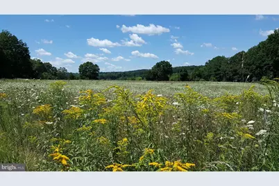 40642 Gallorette Place, Leesburg, VA 20175 - Photo 9