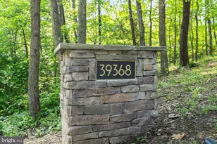 39368 Longhill Ln, Aldie, VA 20105 - Photo 89