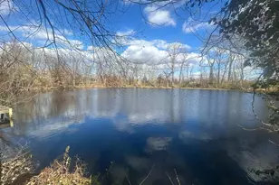 45 E Broad Way E, Lovettsville, VA 20180 - Photo 3