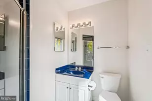 308 Sinegar Pl, Potomac Falls, VA 20165 - Photo 53