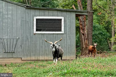 36775 Leith Lane, Middleburg, VA 20117 - Photo 61