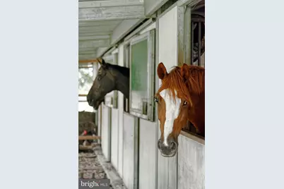 36775 Leith Lane, Middleburg, VA 20117 - Photo 49