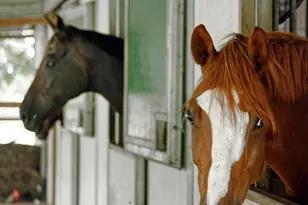 36775 Leith Ln, Middleburg, VA 20117 - Photo 49