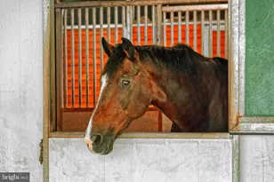 36775 Leith Ln, Middleburg, VA 20117 - Photo 51