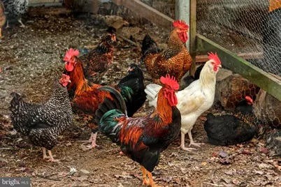 36775 Leith Lane, Middleburg, VA 20117 - Photo 59