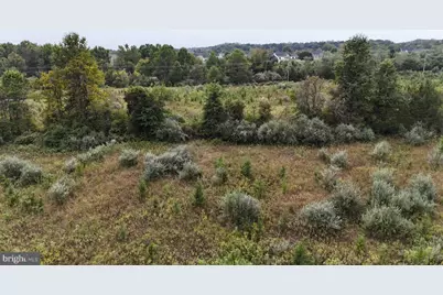 Delta Diamond Lane, Leesburg, VA 20175 - Photo 7