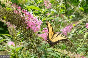 11308 Stonehouse Pl, Potomac Falls, VA 20165 - Photo 63