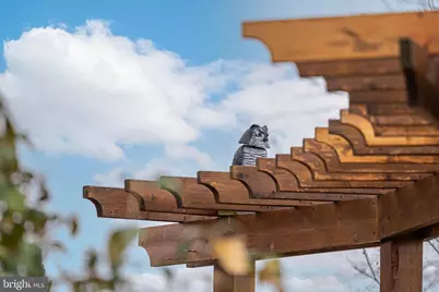 36483 Winding Oak Place, Purcellville, VA 20132 - Photo 49