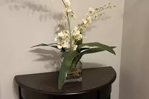 40372 Stonebrook Hamlet Pl, Waterford, VA 20197 - Photo 23