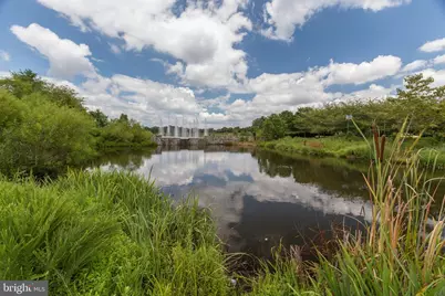 42790 Sykes Terrace, Chantilly, VA 20152 - Photo 15