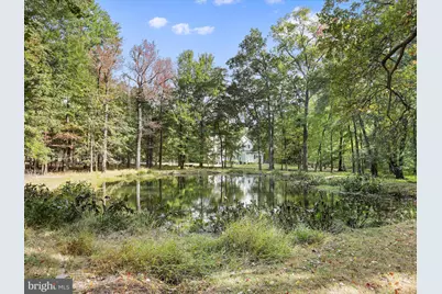 19935 Foggy Bottom Road, Bluemont, VA 20135 - Photo 51