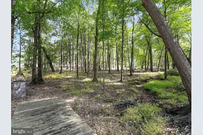 19935 Foggy Bottom Road, Bluemont, VA 20135 - Photo 53