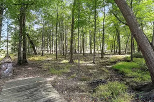 19935 Foggy Bottom Rd, Bluemont, VA 20135 - Photo 53