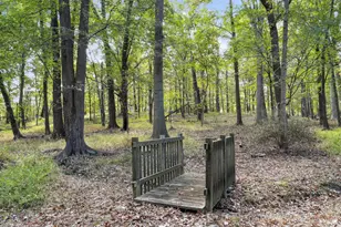 19935 Foggy Bottom Rd, Bluemont, VA 20135 - Photo 55