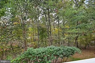 20385 Belmont Park Terrace, Ashburn, VA 20147 - Photo 15