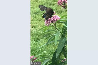 40925 Arcadian Pond Court, Aldie, VA 20105 - Photo 67