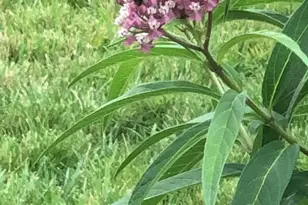 40925 Arcadian Pond Ct, Aldie, VA 20105 - Photo 67