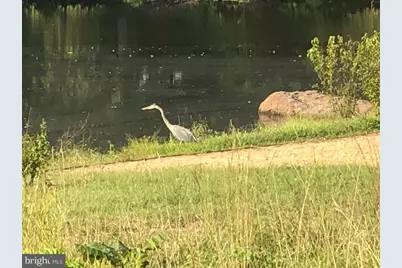 40925 Arcadian Pond Court, Aldie, VA 20105 - Photo 85