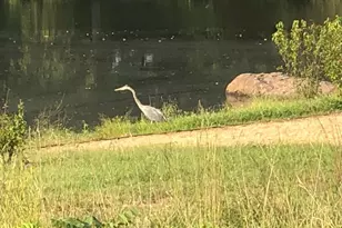 40925 Arcadian Pond Ct, Aldie, VA 20105 - Photo 85