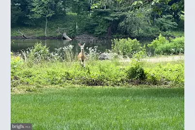 40925 Arcadian Pond Court, Aldie, VA 20105 - Photo 73