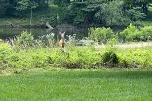 40925 Arcadian Pond Ct, Aldie, VA 20105 - Photo 73