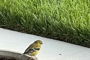 40925 Arcadian Pond Ct, Aldie, VA 20105 - Photo 83