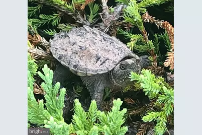 40925 Arcadian Pond Court, Aldie, VA 20105 - Photo 79