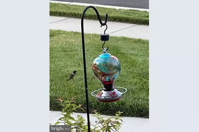 40925 Arcadian Pond Court, Aldie, VA 20105 - Photo 69