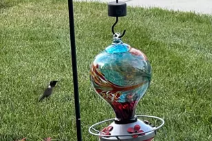 40925 Arcadian Pond Ct, Aldie, VA 20105 - Photo 69