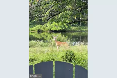 40925 Arcadian Pond Court, Aldie, VA 20105 - Photo 65