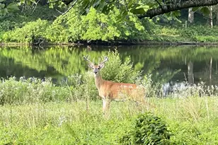 40925 Arcadian Pond Ct, Aldie, VA 20105 - Photo 65