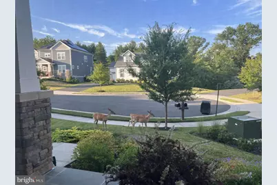 40925 Arcadian Pond Court, Aldie, VA 20105 - Photo 59