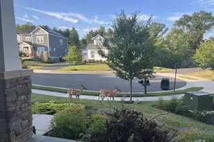 40925 Arcadian Pond Ct, Aldie, VA 20105 - Photo 59