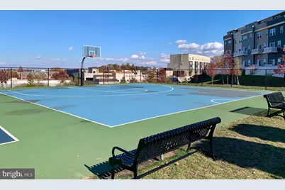 46320 Mount Milstead Terrace #100, Sterling, VA 20164 - Photo 25