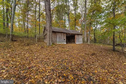 16559 Woodchase Lane, Round Hill, VA 20141 - Photo 11