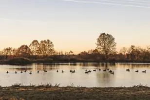 21846 Trappe Rd, Upperville, VA 20184 - Photo 17