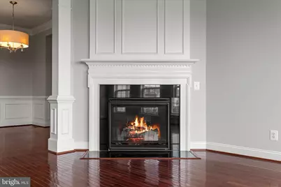 507 Flameflower Terrace SE, Leesburg, VA 20175 - Photo 17