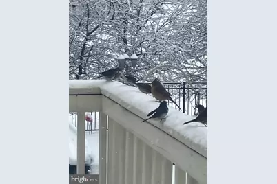 15700 Trapshire Court, Waterford, VA 20197 - Photo 133