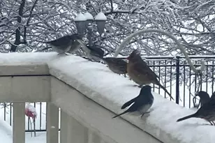 15700 Trapshire Ct, Waterford, VA 20197 - Photo 133