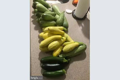 15700 Trapshire Court, Waterford, VA 20197 - Photo 107