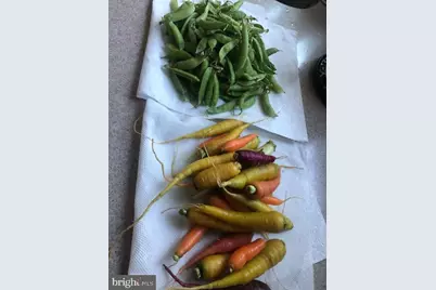 15700 Trapshire Court, Waterford, VA 20197 - Photo 105